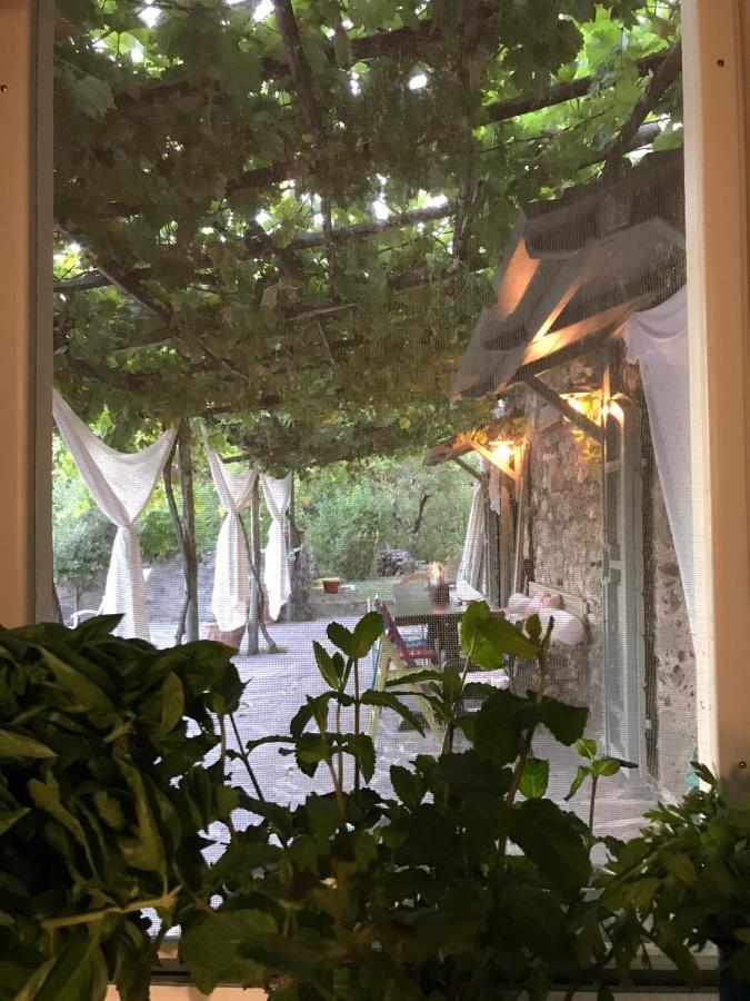 Podere Ceppeti 13 Gabellino Bagian luar foto