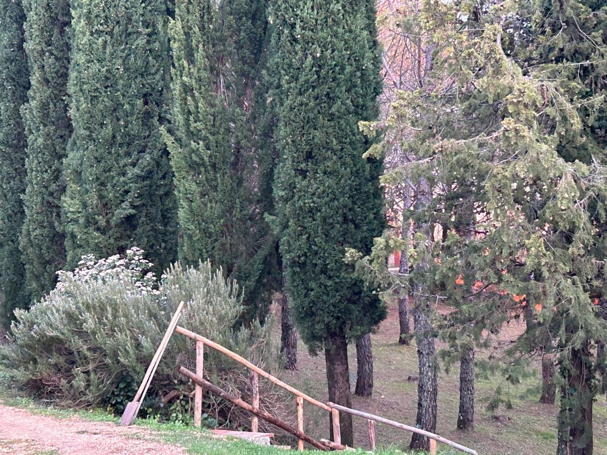 Podere Ceppeti 13 Gabellino Bagian luar foto